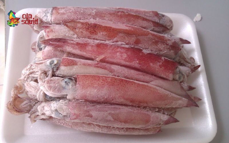 What is Frozen Calamari? Benefits and How to Cook It 1 Learn about what frozen fresh squid is?