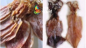 Cách phân biệt khô mực giả, thật đơn giản nhất