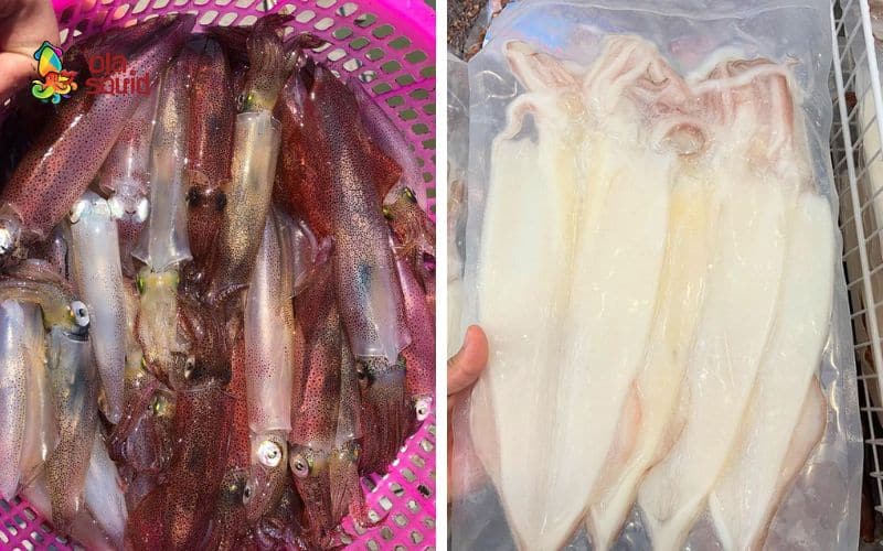 Mực nháy là gì? Các món ngon làm từ mực nháy 3 Mực một nắng có hương thơm đậm đà, thịt săn và dai hơn mực nháy