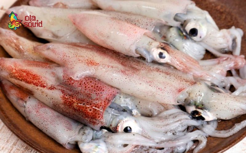 Mực ống là gì? Dinh dưỡng, cách chọn, chế biến và giá mới nhất 11 Giá mực ống còn phụ thuộc vào thời điểm, cách bảo quản, nguồn gốc,...