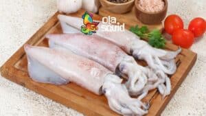 Tìm hiểu về đặc điểm, cách chọn và chế biến mực ống tươi ngon