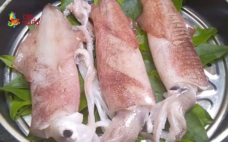 Mực ống là gì? Dinh dưỡng, cách chọn, chế biến và giá mới nhất 7 Mực ống hấp lá ổi dai ngọt