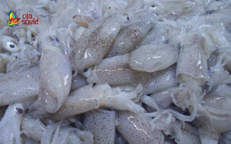 Cách làm mực sim hấp bia đơn giản, càng ăn càng mê 1 Tìm hiểu về mực sim