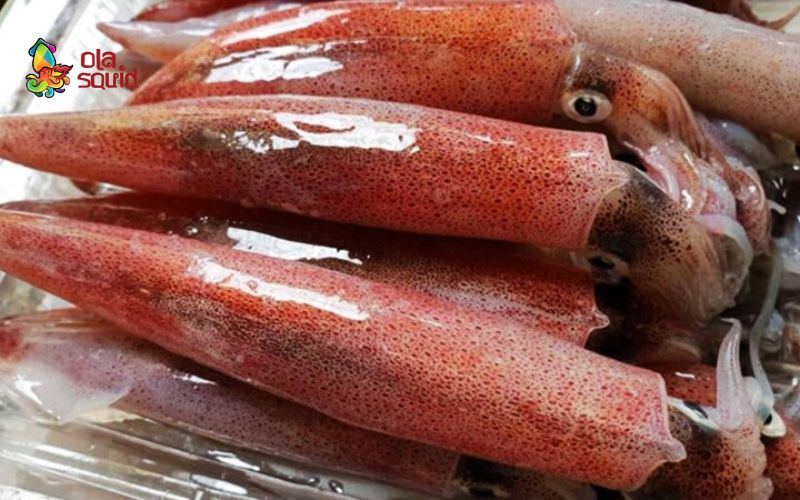 Cách làm mực hấp sả thơm ngon, giòn ngọt không tanh 1 Bạn nên ưu tiên chọn mực trứng để hấp sả