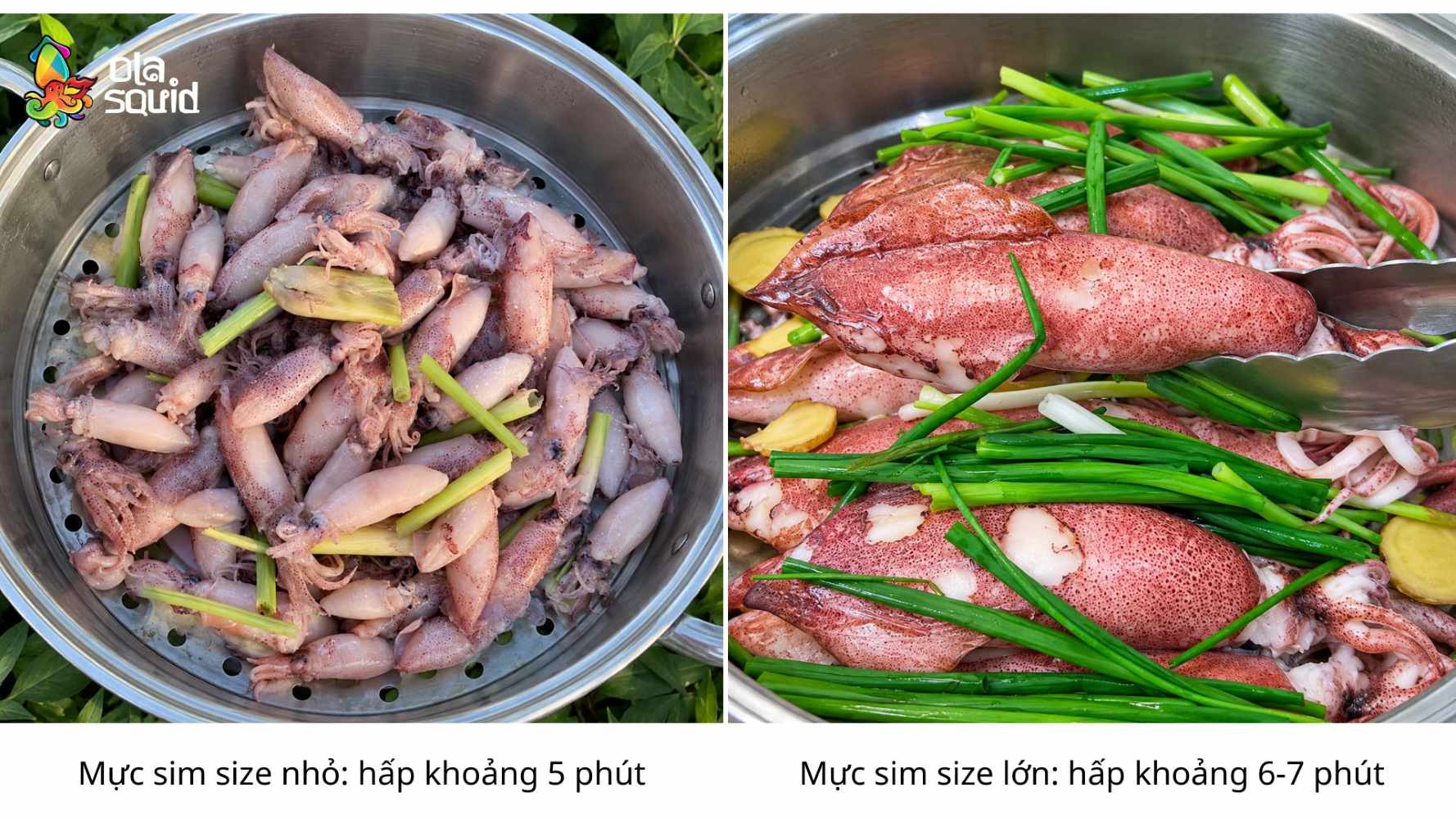 How to Steam Tiny Squid for Natural Fragrance, Crispness, and Sweetness 7 The ideal steaming time for bobtail squid ranges from 5 to 7 minutes depending on the size