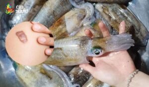 Mối liên hệ giữa mực và sẹo lồi. Ảnh: Internet