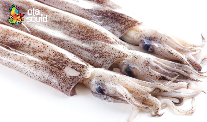 Top 3 cách kho mực ngon bất bại, nhất định phải thử 1 Cách chọn mực tươi ngon để kho