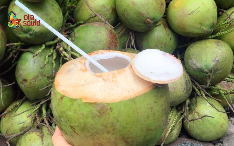 Hướng dẫn cách làm mực hấp nước dừa thơm khó cưỡng 2 Dừa xiêm ngon có trọng lượng nặng, vỏ xanh đều màu,...