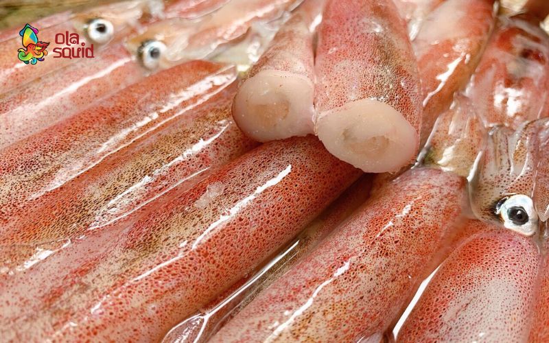 Mực trứng làm gì ngon nhất? Gợi ý 10 món dễ làm tại nhà 1 Hướng dẫn cách chọn chọn mua mực trứng tươi