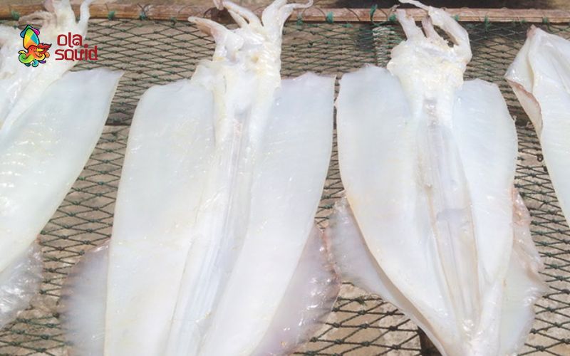 Tất tần tật về mực một nắng Côn Đảo tươi ngon 2 Giá trị dinh dưỡng của mực 1 nắng Côn Đảo với sức khoẻ (Nguồn ảnh: Internet)