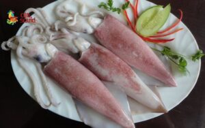 how many calories in squid