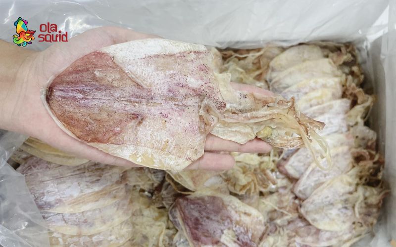 Khô mực cào là gì? Nhận biết khô mực câu và khô mực cào 1 Tìm hiểu về mực khô cào