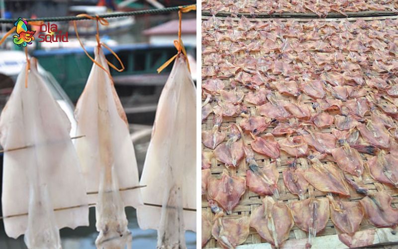 Khô mực cào là gì? Nhận biết khô mực câu và khô mực cào 2 Nhận biệt mực khô câu và mực khô cào qua hình thức đánh bắt