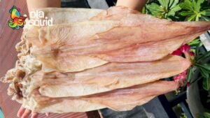 mực câu khô vân đồn