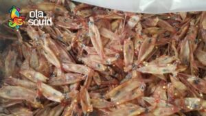 Mực cơm khô mang lại nhiều dưỡng chất cho người thưởng thức