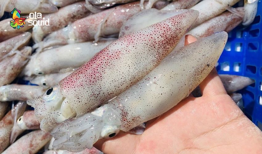 Cách làm mực hấp lá lốt siêu ngon, chuẩn vị quê nhà 2 Mực tươi hay không sẽ ảnh hưởng trực tiếp tới chất lượng món ăn. Ảnh: Internet