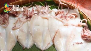 mực một nắng côn đảo