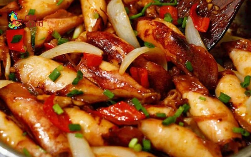 Giải đáp: Mực sữa là gì? Giá mực sữa bao nhiêu 1kg? 3 Cách chế biến món mực sữa chiên nước mắm