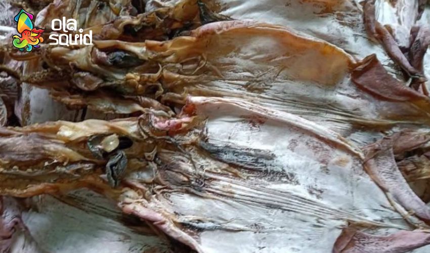 Mực xà là mực gì? Tại sao giá mực xà đại dương lại rẻ? 9 Mực xà khô