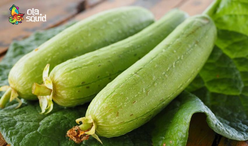 Cách làm mực xào mướp thanh mát chinh mục mọi vị giác 3 Mẹo chọn mướp hương tươi non, không bị đắng