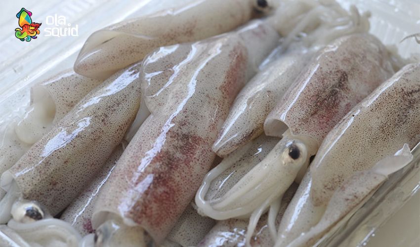 Cách làm mực xào mướp thanh mát chinh mục mọi vị giác 2 Mẹo chọn mực tươi ngon đúng chuẩn.