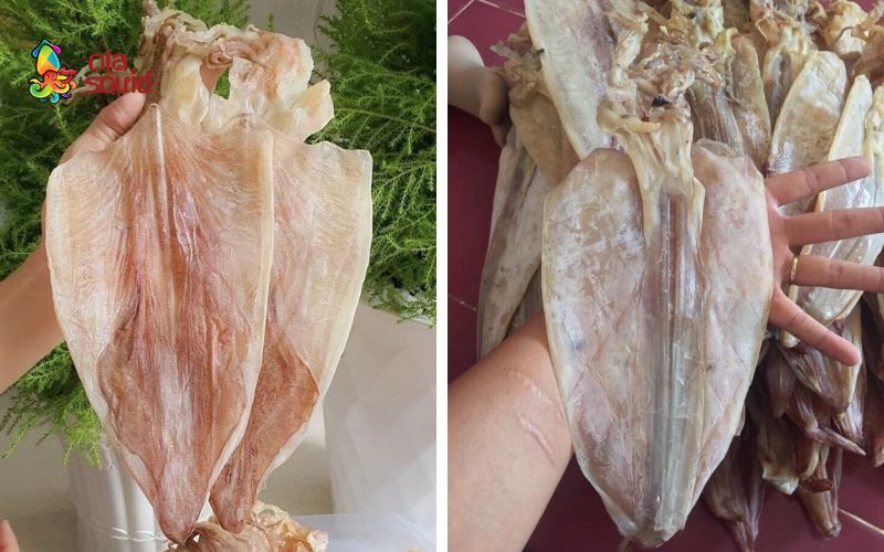 Khô mực cào là gì? Nhận biết khô mực câu và khô mực cào 3 Thịt mực khô câu dày, đậm đà hơn khô mực cào