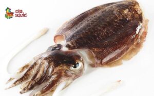 what dishes are good with fresh cuttlefish