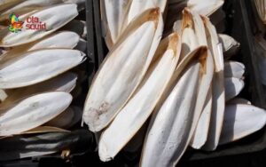 what to do with squid cartilage