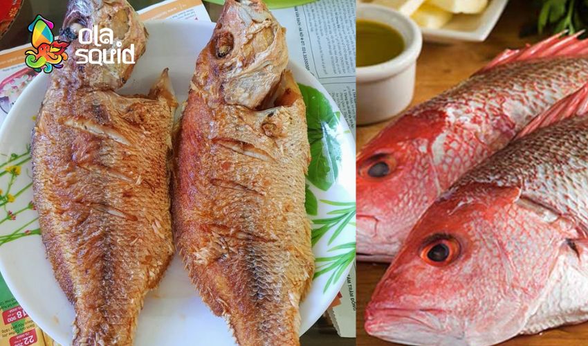 Cá hồng biển làm món gì ngon? 10 món ngon bổ dưỡng từ cá hồng 6 Cá hồng biển chiên