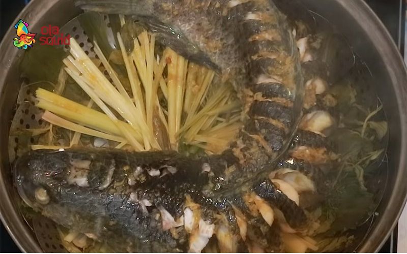 Cá lóc làm món gì ngon? Tổng hợp các công thức dễ làm 9 Cá lóc hấp sả thơm lừng, không bị tanh