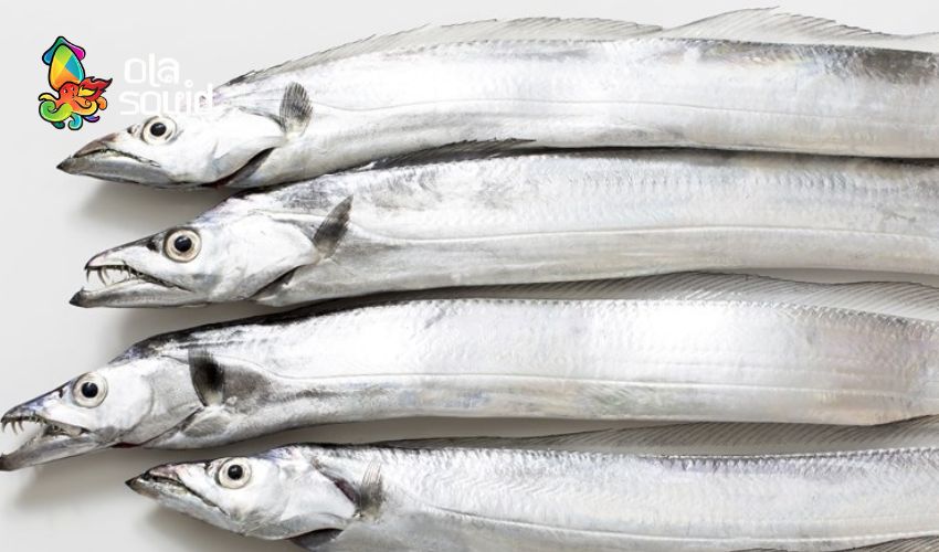 Cá hố làm món gì ngon? Bật mí 10 công thức chuẩn vị gia đình 11 Cách chọn mua cá hố tươi ngon