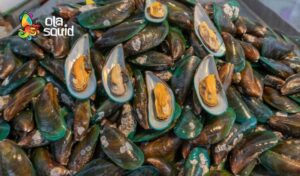 cach chon vem xanh tuoi