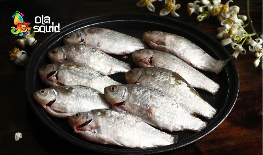 Cá diếc làm món gì ngon? 15 cách chế biến cá diếc thơm ngon, đậm vị 17 Sau khi làm sạch thì để cá ráo nước rồi mới chế biến