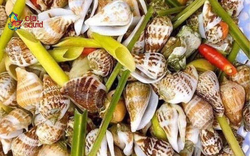 Ốc nhảy làm món gì ngon? Các công thức chế biến hấp dẫn 3 Ốc nhảy hấp sả dễ chế biến, nhanh gọn