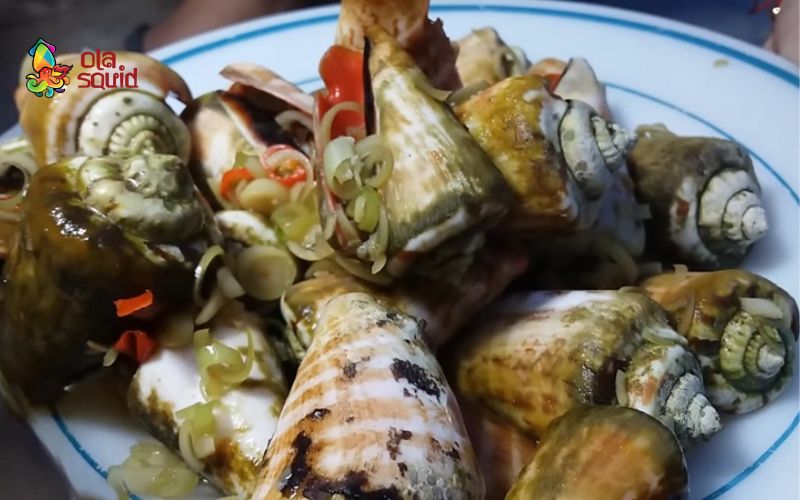 Ốc nhảy làm món gì ngon? Các công thức chế biến hấp dẫn 2 Ốc nhảy làm món gì ngon? Tham khảo món ốc nhảy xào sả ớt