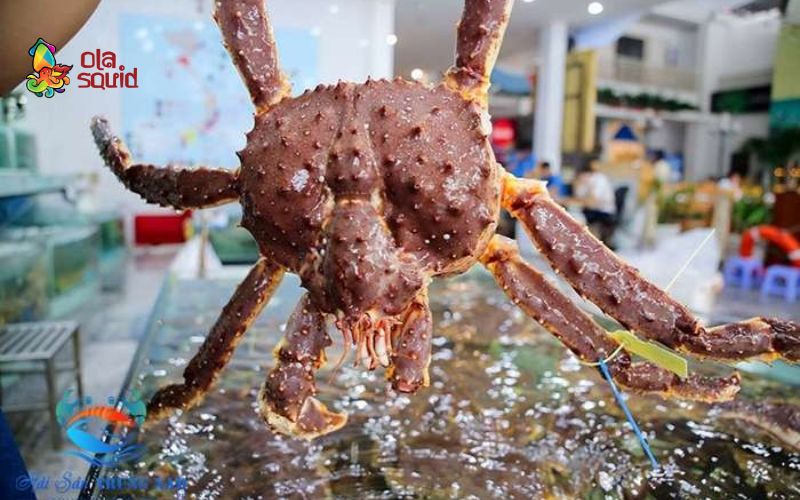 Giá cua hoàng đế bao nhiêu? Cập nhật bảng giá mới nhất 2026 1 1kg cua hoàng đế bao nhiêu tiền?