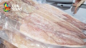 Đại lý mực khô giá tốt, đáng tin cậy