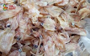 What is Dried Small Squid? Dried Small Squid Price Per Kg?