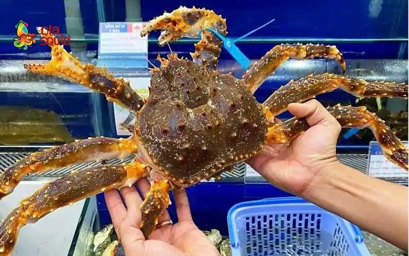 Giá cua hoàng đế bao nhiêu? Cập nhật bảng giá mới nhất 2026 2 Giá trị dinh dưỡng khi ăn cua hoàng đế