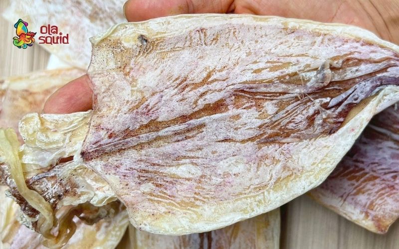 Đại lý mực khô Hải Phòng chất lượng loại 1, giá tốt 1 Ola Squid tuyển đại lý mực khô Hải Phòng toàn quốc