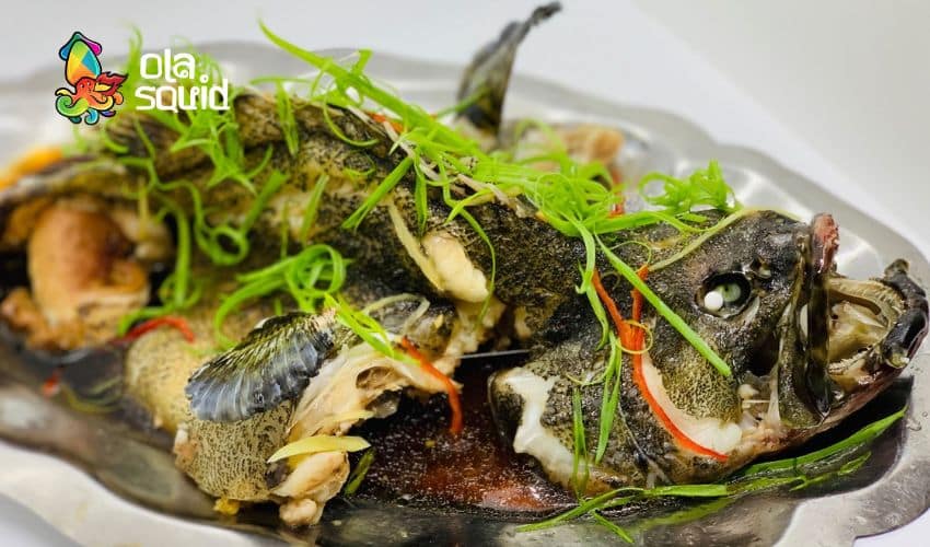 Cách làm cá mú hấp xì dầu không tanh, ngon lạ miệng 2 Cách làm cá mú hấp xì dầu chi tiết