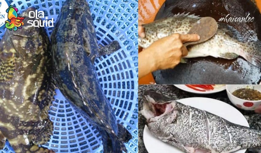 Cách làm cá mú hấp xì dầu không tanh, ngon lạ miệng 3 Mẹo chọn và sơ chế cá mú tươi ngon