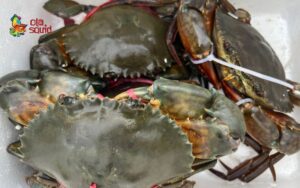 gia cua ca mau bao nhieu