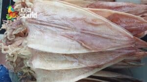 Địa chỉ tại TP. HCM đại lý mực khô Bình Thuận giá hấp dẫn