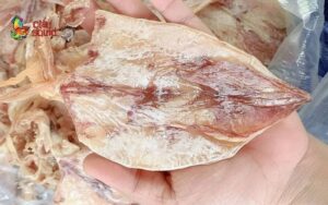 National Dried Squid Agent Recruitment