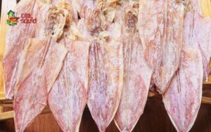 Nationwide Dried Squid Supplier
