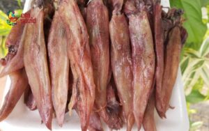 What is Dried Salted Squid