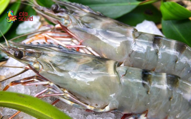 วิธีทำกุ้งซอสนไข่เค็ม รสชาติเข้มข้น ข้าวหมดหม้อ 4 คำแนะนำการเลือกซื้อกุ้งสดและไข่เค็ม