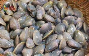 Con chíp chíp là con gì?