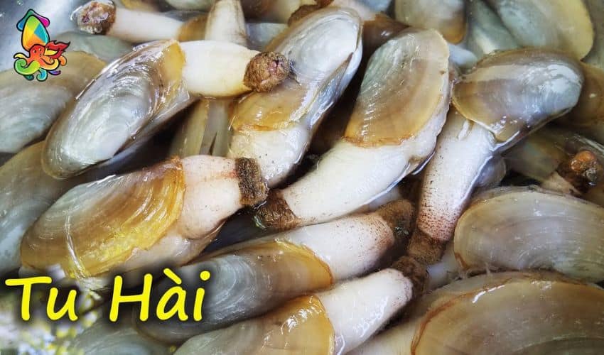 What is a Geoduck? Characteristics, Nutritional Value, and Preparation Methods 1 Geoduck clam is a mollusk species belonging to the bivalve family